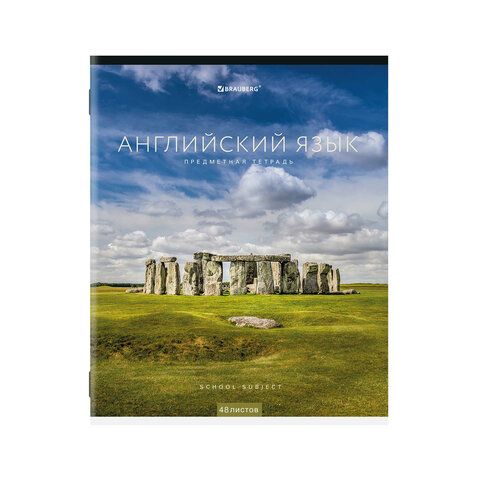 Тетради предметные, КОМПЛЕКТ 12 ПРЕДМЕТОВ, КЛАССИКА NEW, 48 л., обложка картон, BRAUBERG, 404322