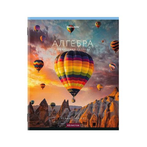 Тетради предметные, КОМПЛЕКТ 12 ПРЕДМЕТОВ, КЛАССИКА NEW, 48 л., обложка картон, BRAUBERG, 404322