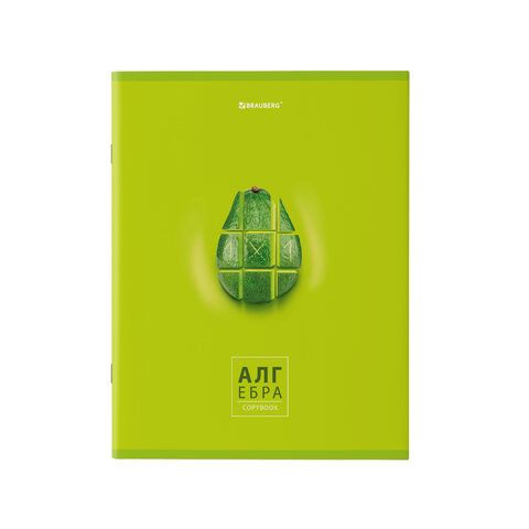 Тетради предметные, КОМПЛЕКТ 10 ПРЕДМЕТОВ, 48 л., глянцевый УФ-лак, BRAUBERG, &quot;AVOCADO&quot;, 404325