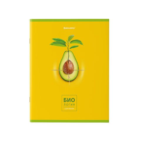 Тетради предметные, КОМПЛЕКТ 10 ПРЕДМЕТОВ, 48 л., глянцевый УФ-лак, BRAUBERG, &quot;AVOCADO&quot;, 404325
