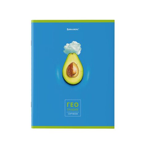 Тетради предметные, КОМПЛЕКТ 10 ПРЕДМЕТОВ, 48 л., глянцевый УФ-лак, BRAUBERG, &quot;AVOCADO&quot;, 404325