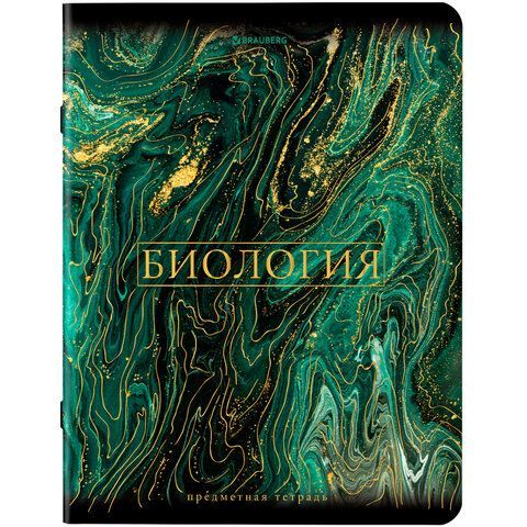 Тетради предметные, КОМПЛЕКТ 12 ПРЕДМЕТОВ, &quot;MARBLE&quot;, 48 л., SoftTouch, фольга, BRAUBERG, 404326