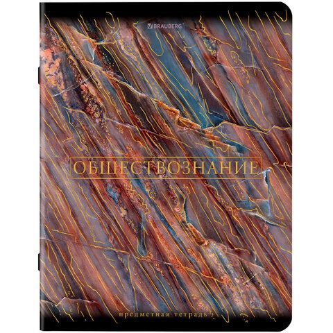 Тетради предметные, КОМПЛЕКТ 12 ПРЕДМЕТОВ, &quot;MARBLE&quot;, 48 л., SoftTouch, фольга, BRAUBERG, 404326