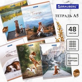 Тетрадь А5 48 л. BRAUBERG 10 шт. скоба, клетка, обложка картон, "Best Friends" (микс в спайке), 404360