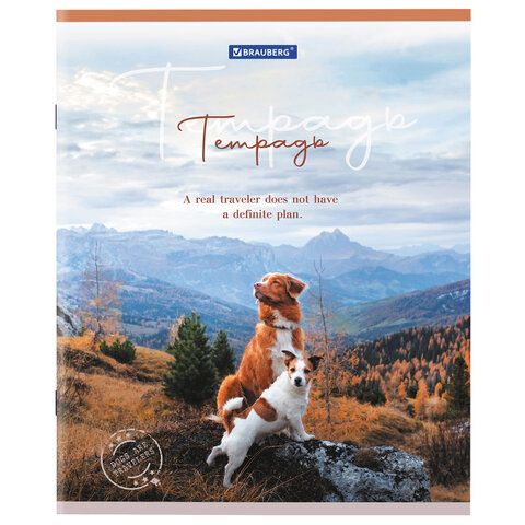 Тетрадь А5 48 л. BRAUBERG 10 шт. скоба, клетка, обложка картон, "Best Friends" (микс в спайке), 404360
