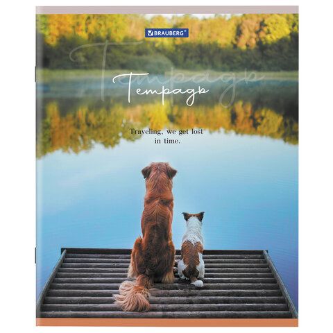 Тетрадь А5 48 л. BRAUBERG 10 шт. скоба, клетка, обложка картон, "Best Friends" (микс в спайке), 404360
