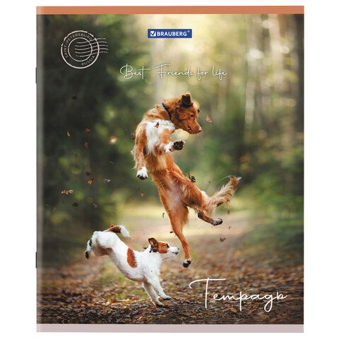 Тетрадь А5 48 л. BRAUBERG 10 шт. скоба, клетка, обложка картон, "Best Friends" (микс в спайке), 404360