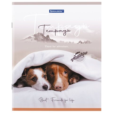 Тетрадь А5 48 л. BRAUBERG 10 шт. скоба, клетка, обложка картон, "Best Friends" (микс в спайке), 404360