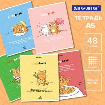 Тетрадь А5, 48 л., BRAUBERG, скоба, клетка, обложка картон, "Кот-Энтузиаст" (микс в спайке), 404365