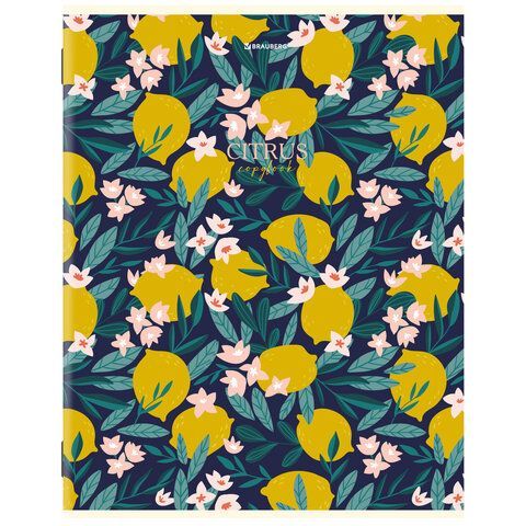 Тетради КОМПЛЕКТ 3 шт. А4, 96 л., BRAUBERG скоба, клетка, глянцевый лак, "Fruits", 404387