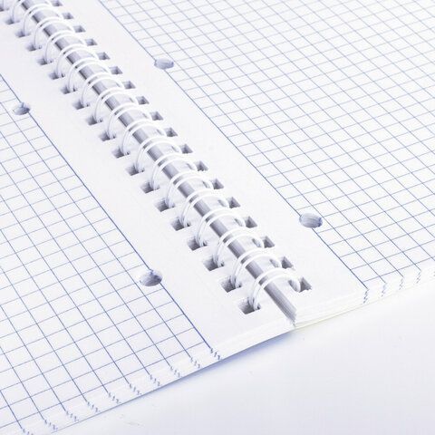 Тетради КОМПЛЕКТ 2 шт., А4, 96 л., BRAUBERG гребень, клетка, глянцевый лак, "Гранаты", 404389