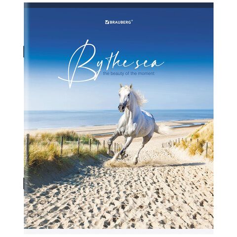 Тетрадь А5, 80 л., BRAUBERG 7 шт., скоба, клетка, обложка картон, &quot;By the Sea&quot;, 404410