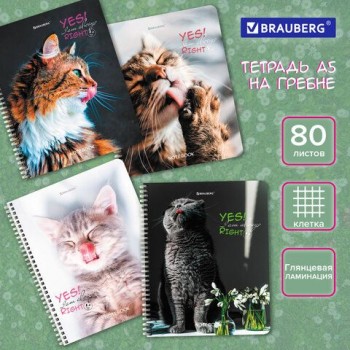 Тетрадь А5 80 л. BRAUBERG 4 шт., гребень, клетка, глянцевая ламинация, "Довольные Коты" (микс в спайке), 404417