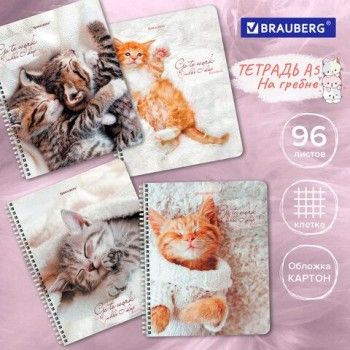 Тетрадь А5, 96 л., BRAUBERG 4 шт., гребень, клетка, обложка картон, "Котики" (микс в спайке), 404425