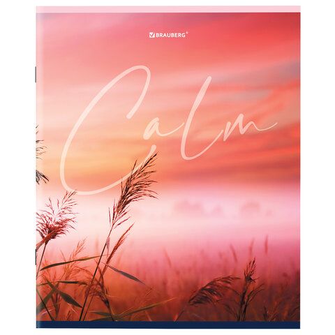 Тетрадь А5 96 л. BRAUBERG 5 шт. скоба, клетка, обложка картон, &quot;Calm&quot; (микс в спайке), 404435