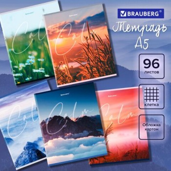 Тетрадь А5 96 л. BRAUBERG 5 шт. скоба, клетка, обложка картон, "Calm" (микс в спайке), 404435