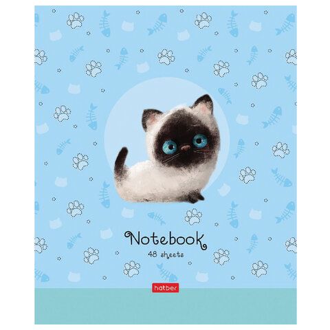 Тетрадь А5 48 л. HATBER 5 шт. скоба, клетка, обложка картон, "Кошарики" (5 видов в спайке), 48Т5В1
