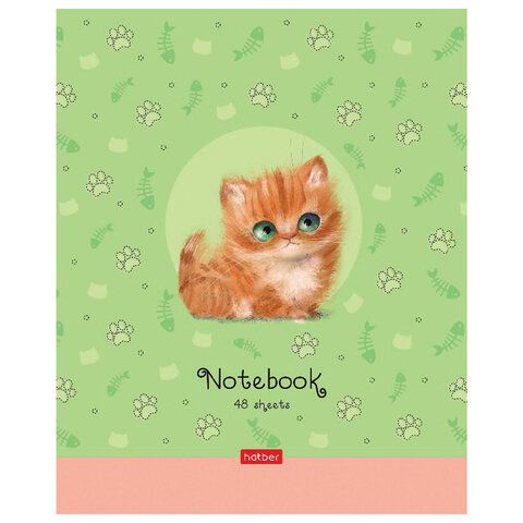 Тетрадь А5 48 л. HATBER 5 шт. скоба, клетка, обложка картон, "Кошарики" (5 видов в спайке), 48Т5В1