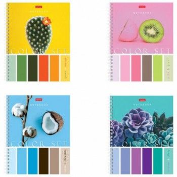 Тетрадь А5, 80 л., HATBER 4 шт. гребень, клетка, обложка картон, "Color Set" (4 вида в спайке), 80Т5В1гр