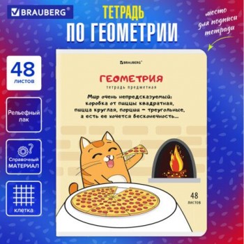 Тетрадь предметная "КОТ-ЭНТУЗИАСТ" 48 л., TWIN-лак, ГЕОМЕТРИЯ, клетка, подсказ, BRAUBERG 10 шт., 404561