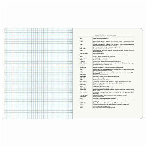 Тетрадь предметная &quot;КОТ-ЭНТУЗИАСТ&quot; 48 л., TWIN-лак, ИСТОРИЯ, клетка, подсказ, BRAUBERG 10 шт., 404563