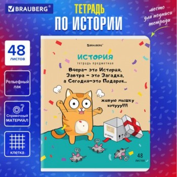 Тетрадь предметная "КОТ-ЭНТУЗИАСТ" 48 л., TWIN-лак, ИСТОРИЯ, клетка, подсказ, BRAUBERG 10 шт., 404563