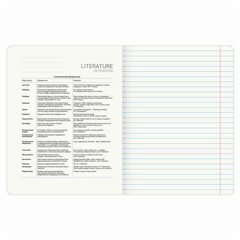 Тетрадь предметная &quot;КОТ-ЭНТУЗИАСТ&quot; 48 л., TWIN-лак, ЛИТЕРАТУРА, линия, подсказ, BRAUBERG 10 шт., 404564