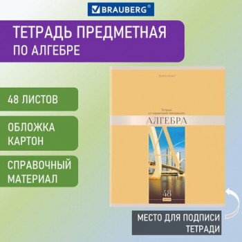 Тетрадь предметная "DELIGHT" 48 л., обложка картон, АЛГЕБРА, клетка, BRAUBERG 10 шт., 404568
