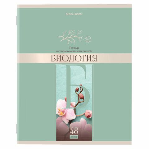 Тетради предметные, КОМПЛЕКТ 12 ПРЕДМЕТОВ, &quot;DELIGHT&quot;, 48 л., обложка картон, BRAUBERG, 404606