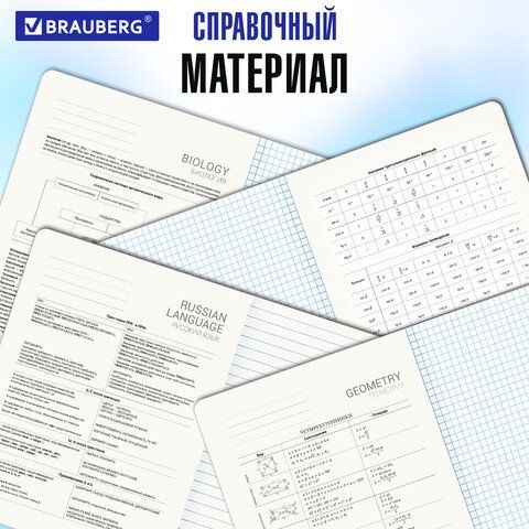 Тетради предметные, КОМПЛЕКТ 12 ПРЕДМЕТОВ, &quot;ANIME&quot;, 48 л., глянцевый УФ-лак, BRAUBERG, 404608