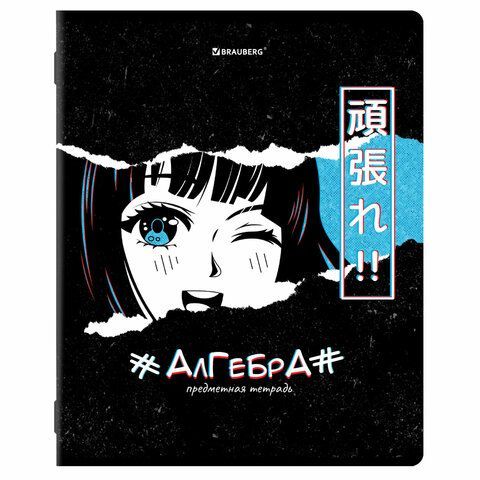 Тетради предметные, КОМПЛЕКТ 12 ПРЕДМЕТОВ, &quot;ANIME&quot;, 48 л., глянцевый УФ-лак, BRAUBERG, 404608