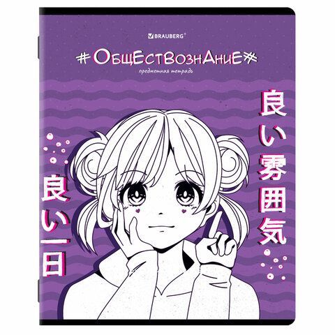 Тетради предметные, КОМПЛЕКТ 12 ПРЕДМЕТОВ, &quot;ANIME&quot;, 48 л., глянцевый УФ-лак, BRAUBERG, 404608