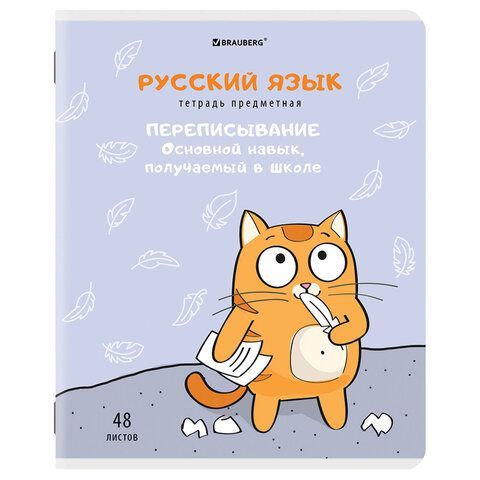 Тетради предметные, КОМПЛЕКТ 12 ПРЕДМЕТОВ, &quot;КОТ-ЭНТУЗИАСТ&quot;, 48 л., TWIN-лак, BRAUBERG, 404609