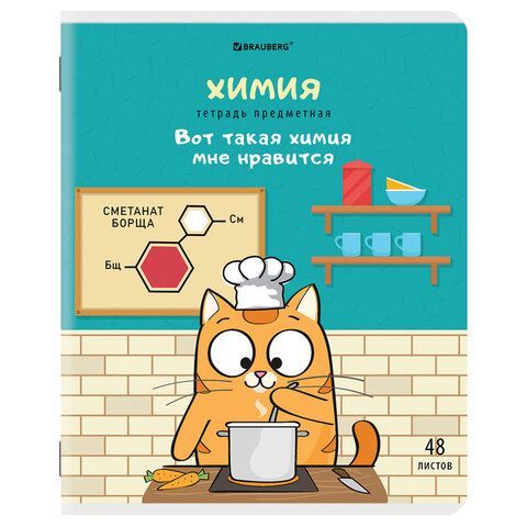 Тетради предметные, КОМПЛЕКТ 12 ПРЕДМЕТОВ, &quot;КОТ-ЭНТУЗИАСТ&quot;, 48 л., TWIN-лак, BRAUBERG, 404609