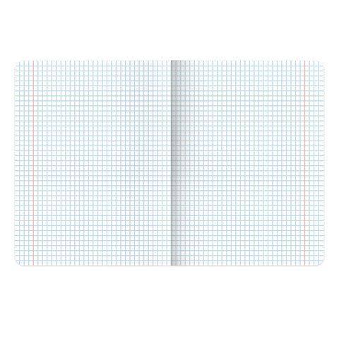Тетради предметные, КОМПЛЕКТ 12 ПРЕДМЕТОВ, &quot;КОТ-ЭНТУЗИАСТ&quot;, 48 л., TWIN-лак, BRAUBERG, 404609