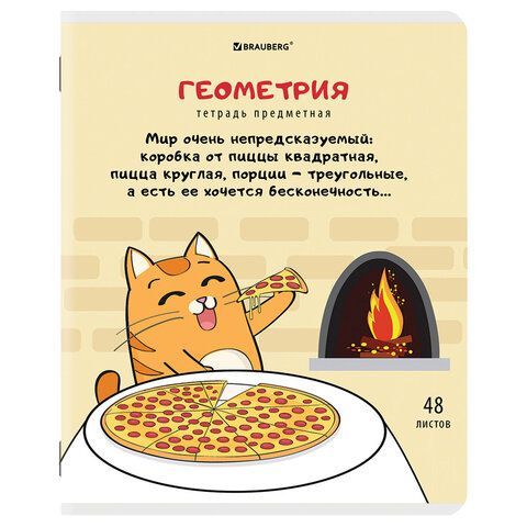Тетради предметные, КОМПЛЕКТ 12 ПРЕДМЕТОВ, &quot;КОТ-ЭНТУЗИАСТ&quot;, 48 л., TWIN-лак, BRAUBERG, 404609