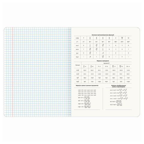 Тетради предметные, КОМПЛЕКТ 12 ПРЕДМЕТОВ, &quot;КОТ-ЭНТУЗИАСТ&quot;, 48 л., TWIN-лак, BRAUBERG, 404609