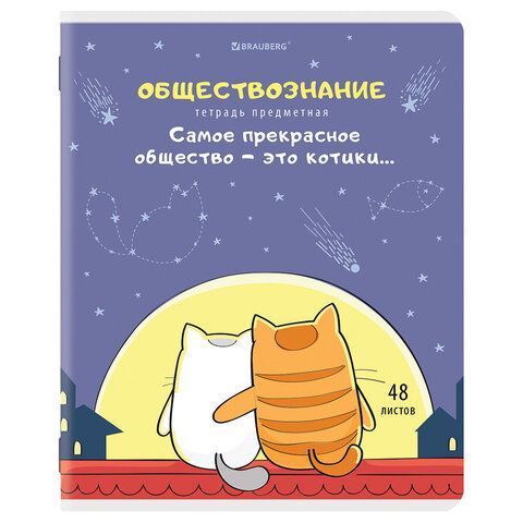 Тетради предметные, КОМПЛЕКТ 12 ПРЕДМЕТОВ, &quot;КОТ-ЭНТУЗИАСТ&quot;, 48 л., TWIN-лак, BRAUBERG, 404609