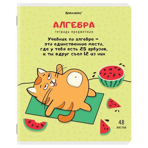 Тетради предметные, КОМПЛЕКТ 12 ПРЕДМЕТОВ, &quot;КОТ-ЭНТУЗИАСТ&quot;, 48 л., TWIN-лак, BRAUBERG, 404609