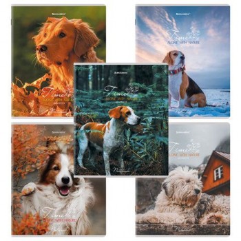 Тетради ДЭК А5 48 л. КОМПЛЕКТ 5 шт., BRAUBERG скоба, клетка, глянцевый лак, "Собачки", 404676