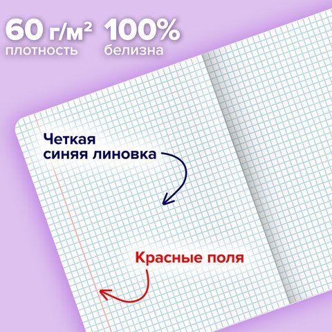 Тетради ДЭК А5 48 л. КОМПЛЕКТ 5 шт. BRAUBERG, скоба, клетка, матовая ламинация, фольга, "Pastel Art", 404678
