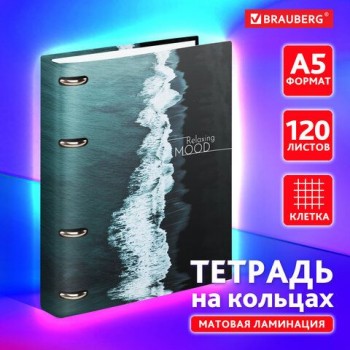 Тетрадь на кольцах А5 160х212мм, 120л, картон,матовая ламинация, клетка, BRAUBERG, Black¬es, 404725