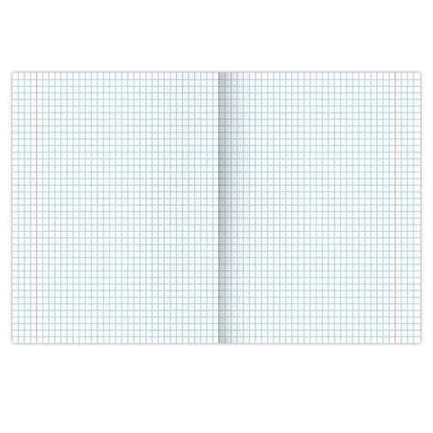 Тетрадь предметная &quot;ПРИРОДА&quot; 48 л., обложка картон, ИНФОРМАТИКА, клетка, подсказ, BRAUBERG 10 шт., 404776