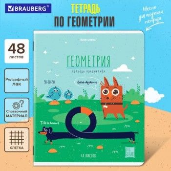 Тетрадь предметная DOG БОБИК 48 л., TWIN-лак, ГЕОМЕТРИЯ, клетка, подсказ, BRAUBERG 10 шт., 404787