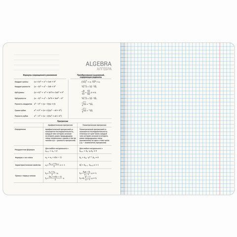 Тетради предметные, КОМПЛЕКТ 12 ПРЕДМЕТОВ, &quot;MINIMAL&quot;, 48 л., матовая ламинация, BRAUBERG, 404831