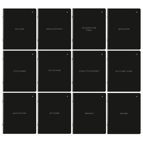 Тетради предметные, КОМПЛЕКТ 12 ПРЕДМЕТОВ, &quot;MINIMAL&quot;, 48 л., матовая ламинация, BRAUBERG, 404831