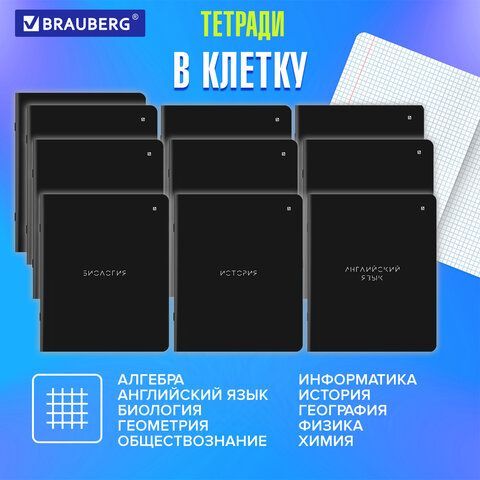 Тетради предметные, КОМПЛЕКТ 12 ПРЕДМЕТОВ, &quot;MINIMAL&quot;, 48 л., матовая ламинация, BRAUBERG, 404831