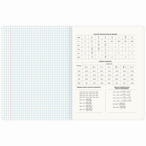 Тетради предметные, КОМПЛЕКТ 12 ПРЕДМЕТОВ, &quot;MINIMAL&quot;, 48 л., матовая ламинация, BRAUBERG, 404831