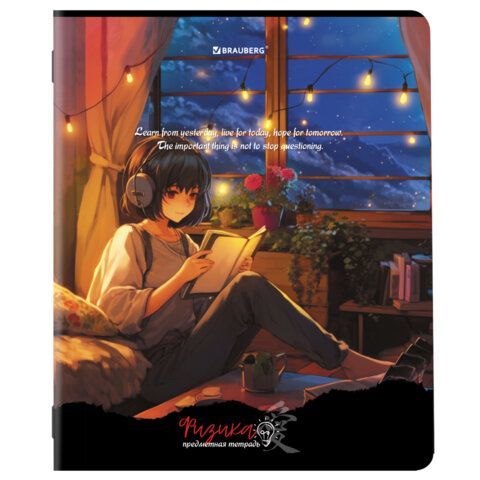 Тетради предметные, КОМПЛЕКТ 12 ПРЕДМЕТОВ, &quot;ANIME GIRLS&quot;, 48 л., матовая ламинация, BRAUBERG, 404832