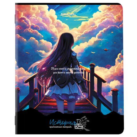 Тетради предметные, КОМПЛЕКТ 12 ПРЕДМЕТОВ, &quot;ANIME GIRLS&quot;, 48 л., матовая ламинация, BRAUBERG, 404832